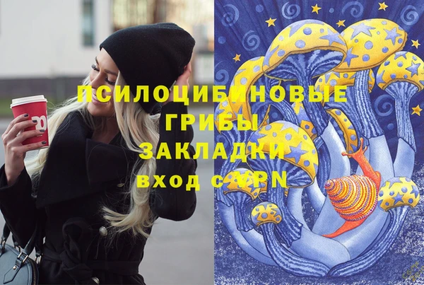 винт Балахна