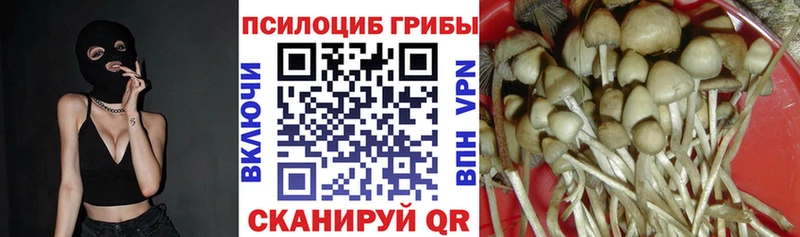 хочу наркоту  Воскресенск  Псилоцибиновые грибы мицелий 