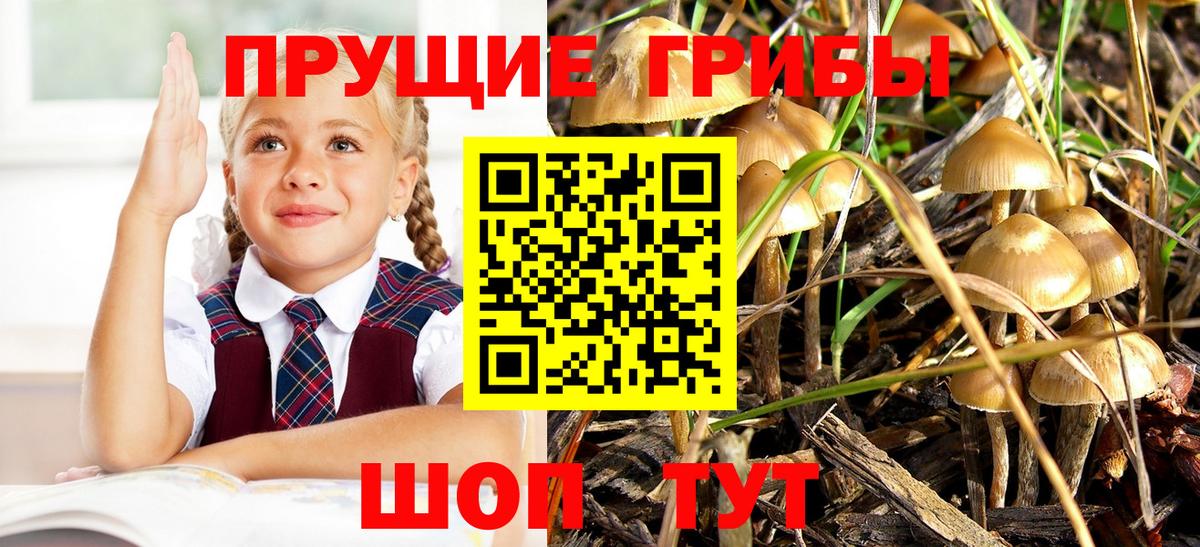 сколько стоит  Галлюциногенные грибы ЛСД  Вход с VPN  Псилоцибиновые грибы MAGIC MUSHROOMS  Воскресенск 