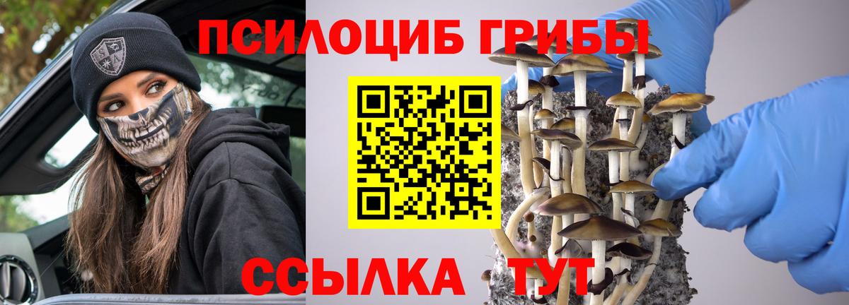 Галлюциногенные грибы GOLDEN TEACHER Воскресенск